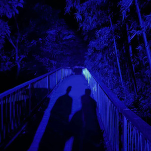 免费的一级片网站
